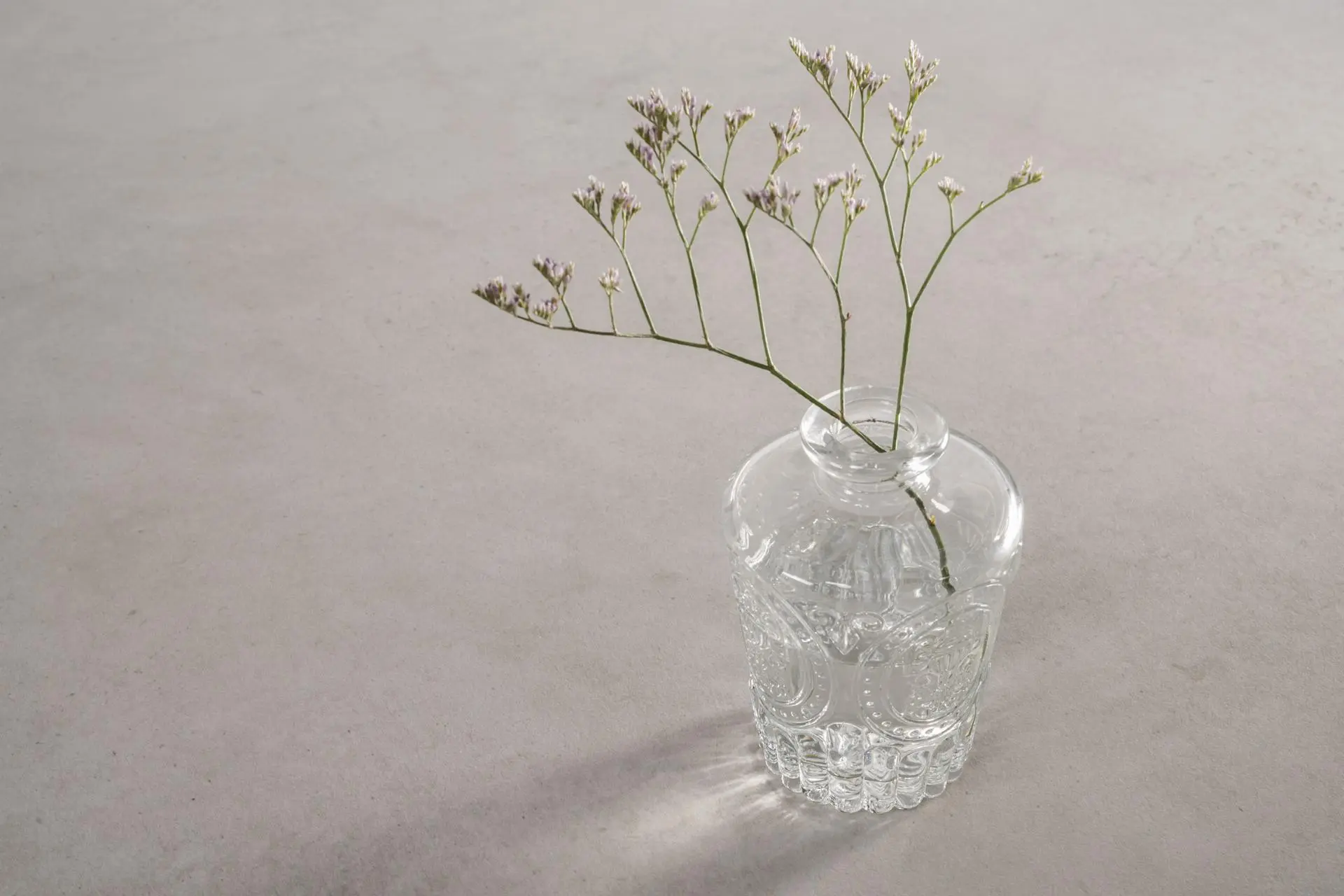 Urban White - Imagen 3